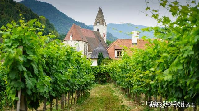 奥地利小镇施皮茨，坐拥多瑙河沿岸最美的风景和最受欢迎的葡萄酒