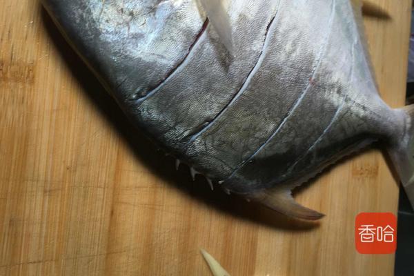 这鱼是“海里小人参”，1斤35，益气养血，护眼明目，贵点也值得